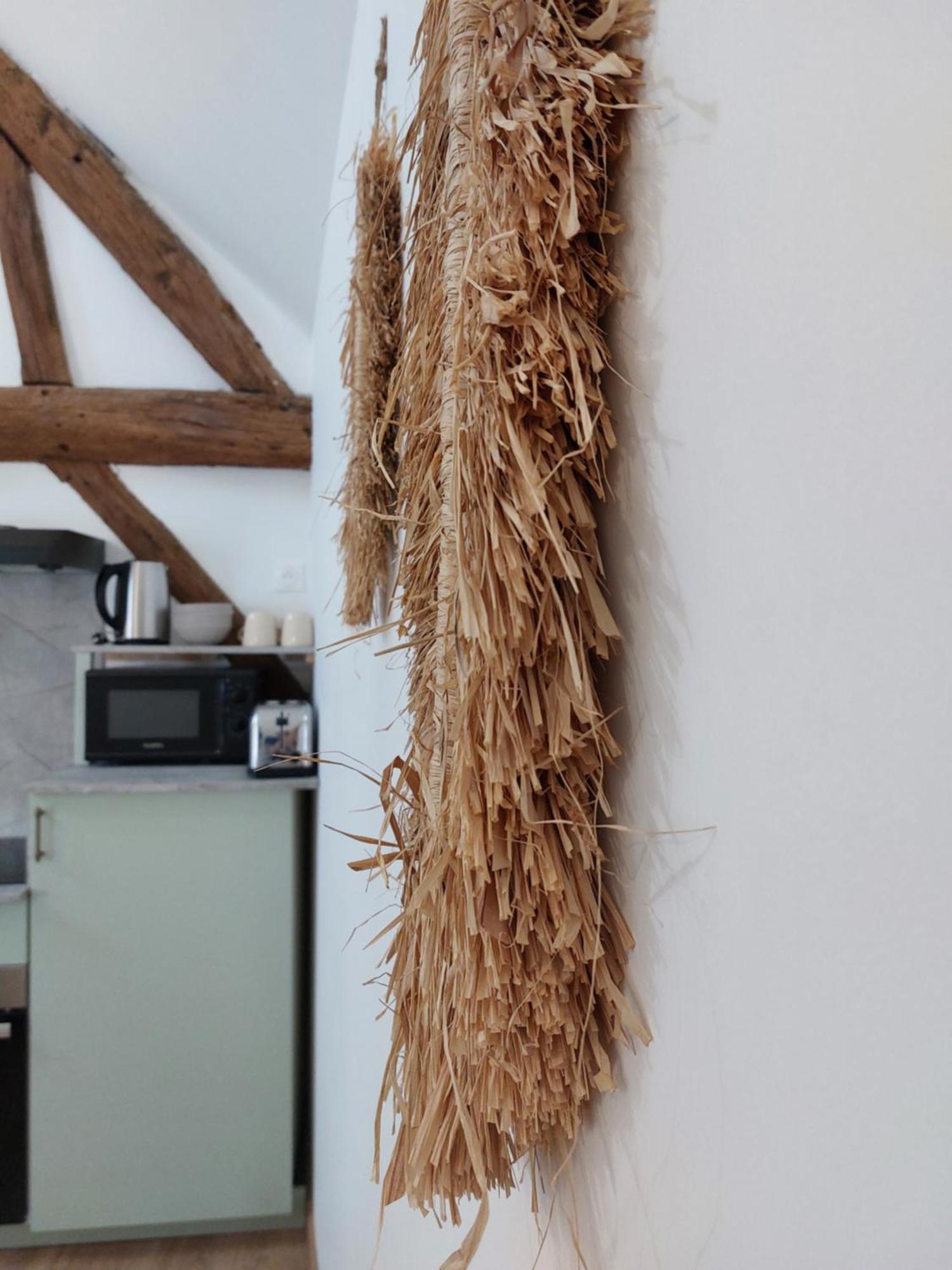 Appartements L'Hirondelle Beaugency Extérieur photo