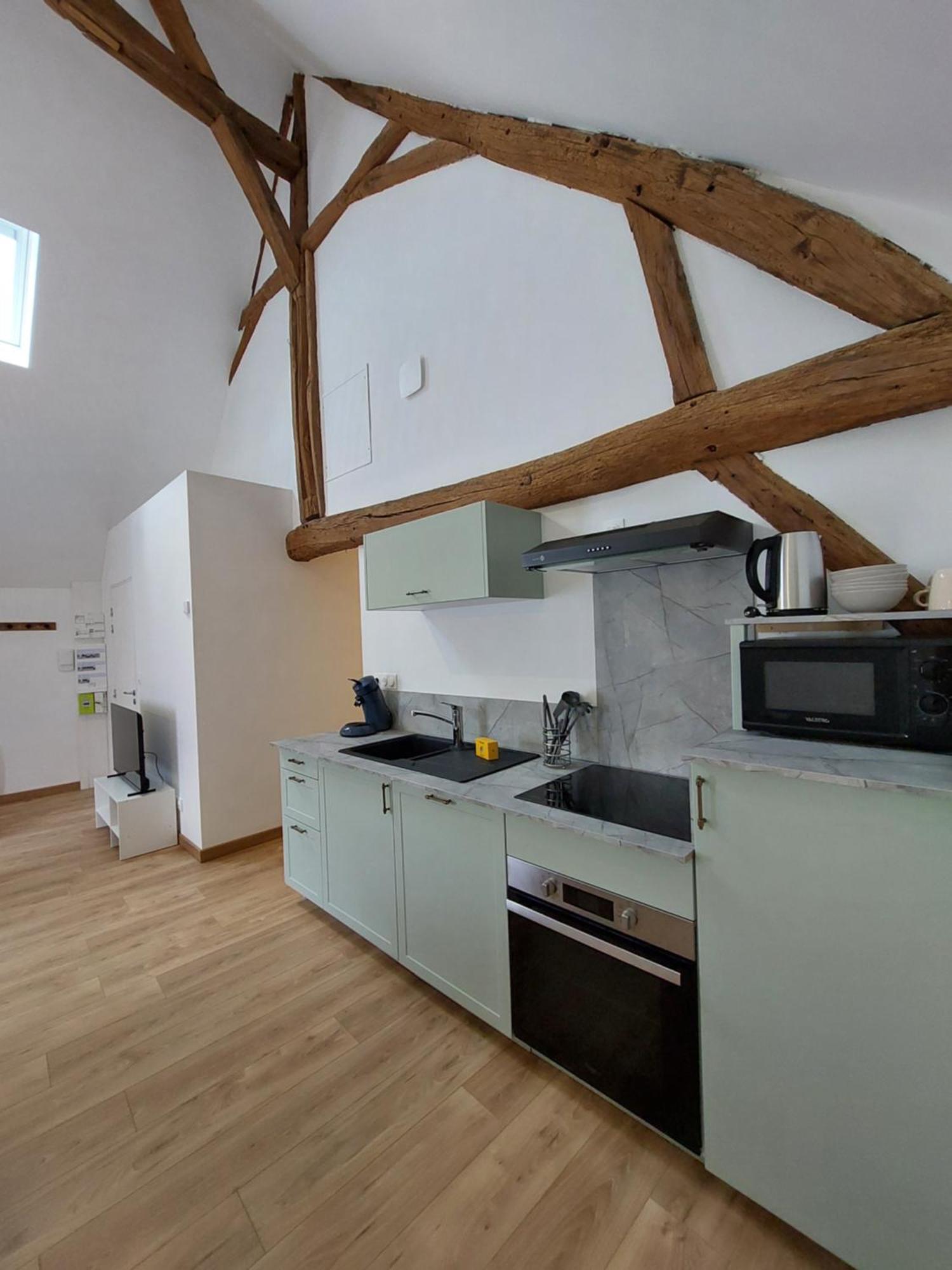Appartements L'Hirondelle Beaugency Extérieur photo
