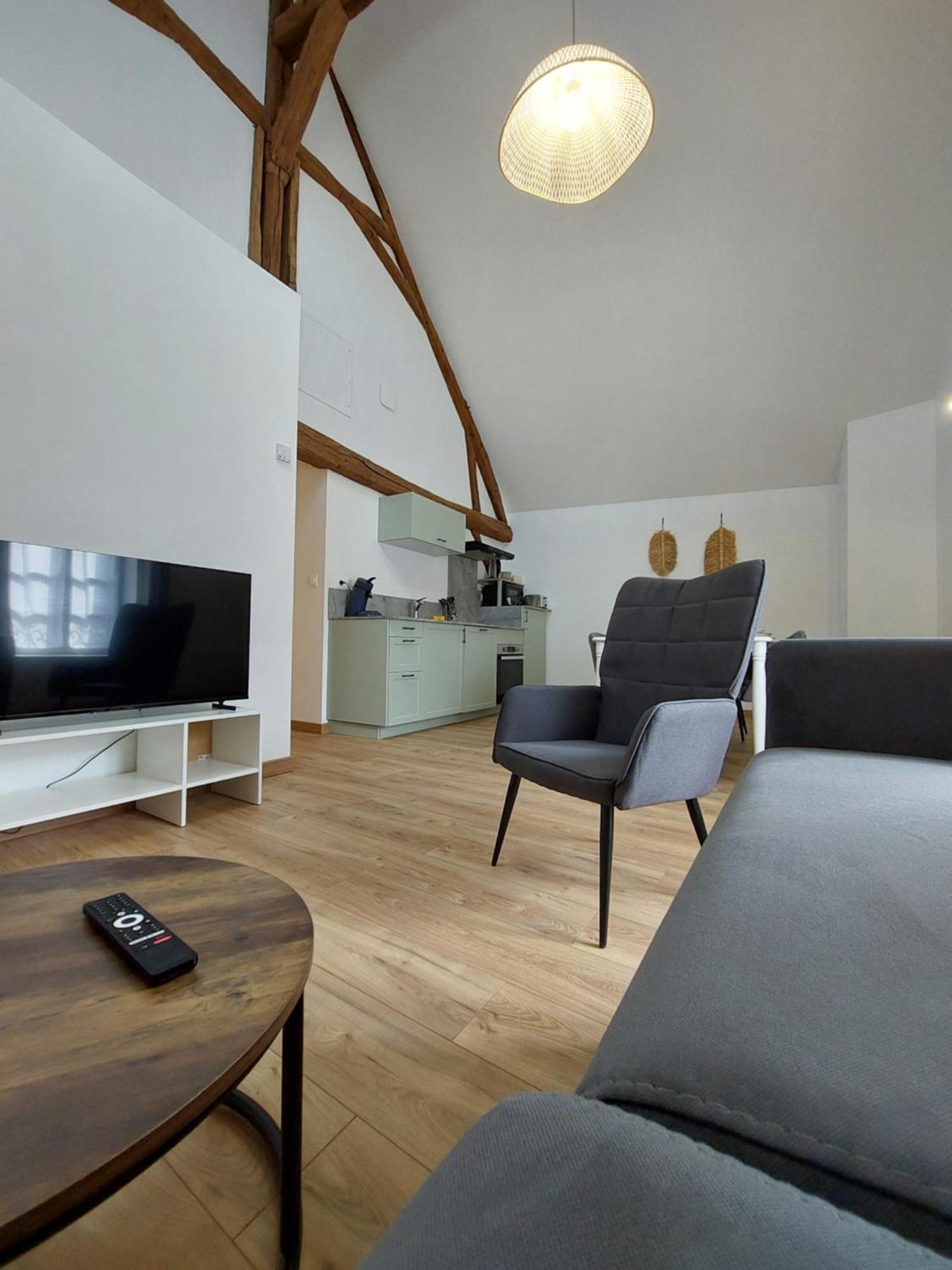 Appartements L'Hirondelle Beaugency Extérieur photo