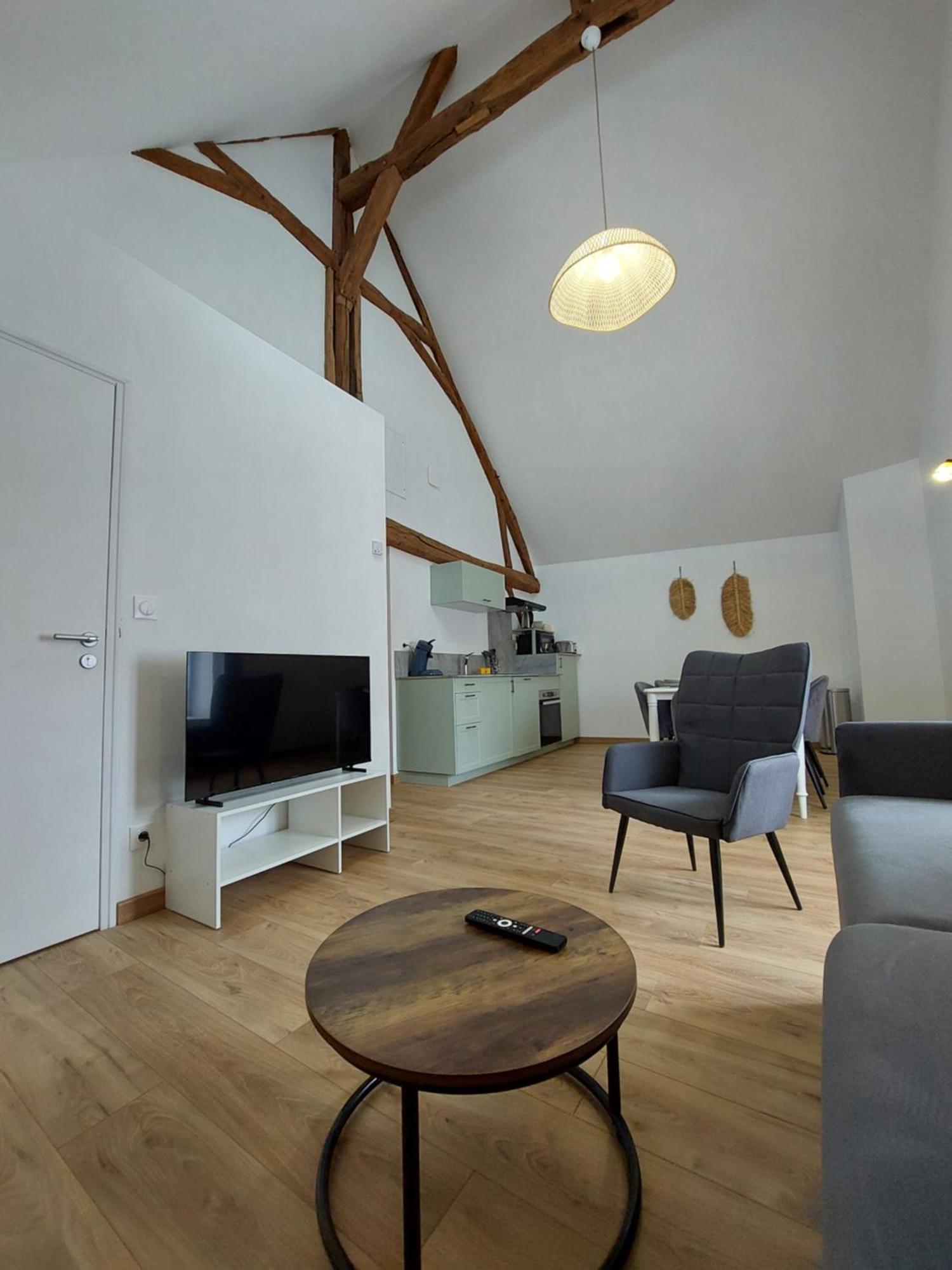Appartements L'Hirondelle Beaugency Extérieur photo