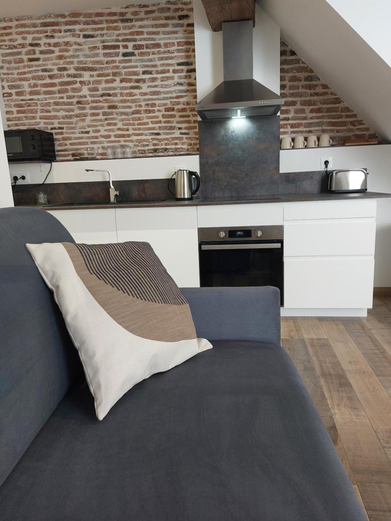 Appartements L'Hirondelle Beaugency Extérieur photo