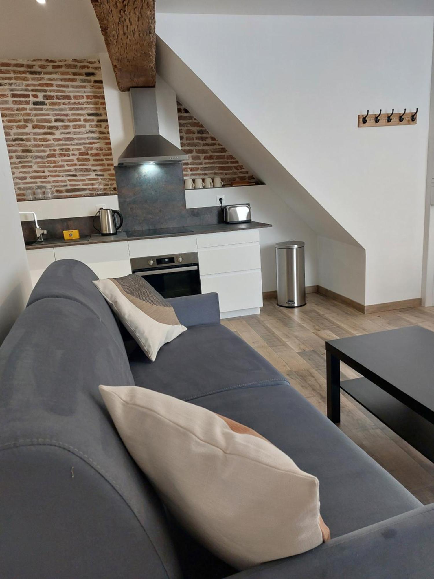 Appartements L'Hirondelle Beaugency Extérieur photo